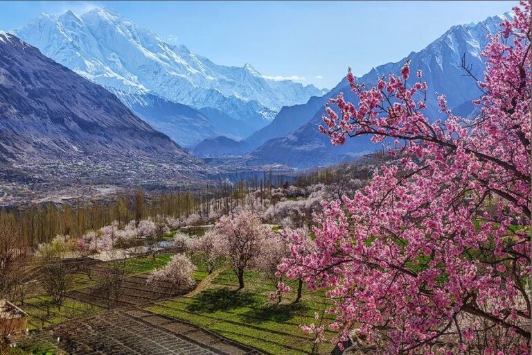 Hunza And Skardu Valley Cherry Blossom Tour | See Pakistan Tours