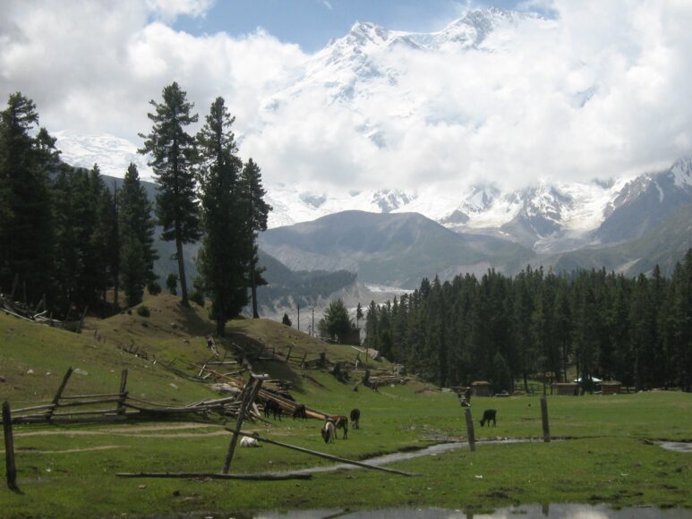 fairy meadows tour from islamabad