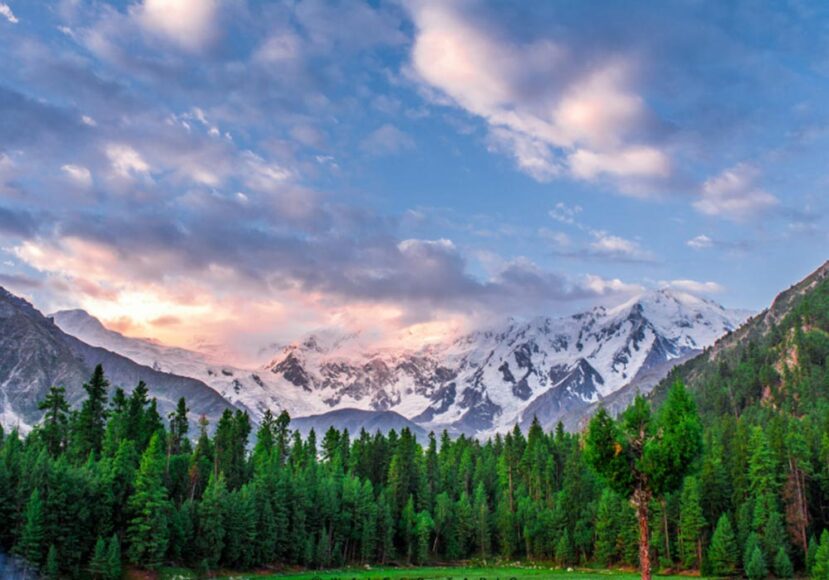 Fairy Meadows Places of Pakistan