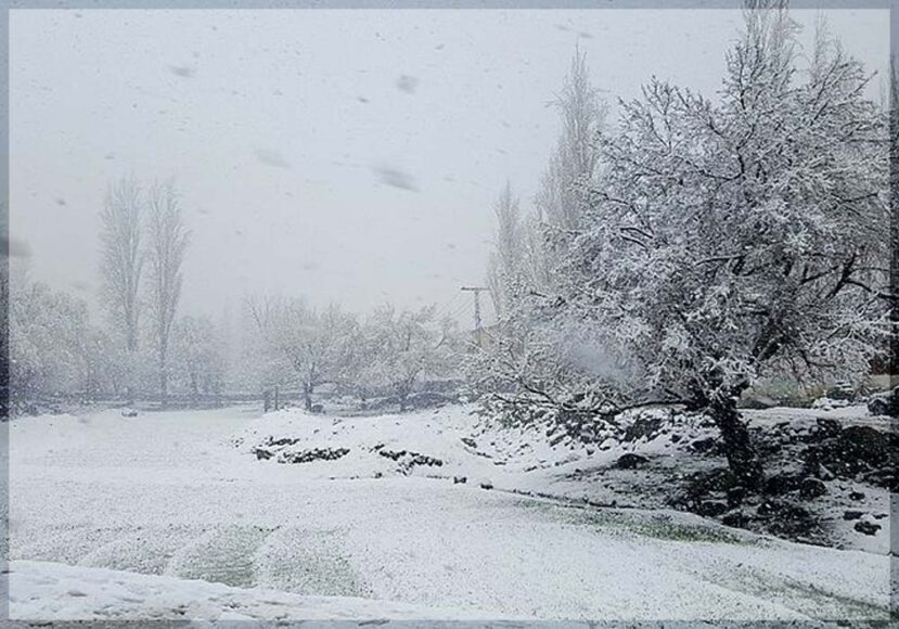 Snow, Snow Everywhere, Murree, Swat, Skardu, Naran Kaghan