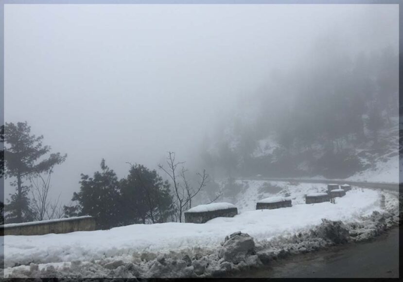 Snow, Snow Everywhere, Murree, Swat, Skardu, Naran Kaghan