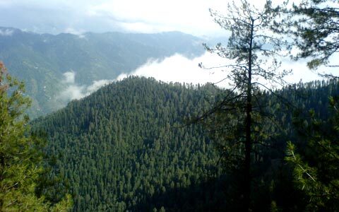 murree tour package