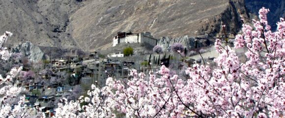 Cherry Blossom Hunza & Nagar Valley 5 Days 4 Nights Tour (BY AIR)